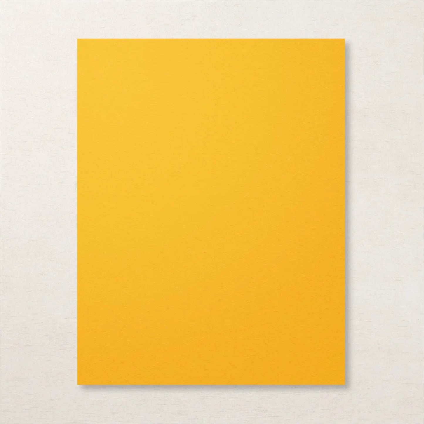 A4 Cardstock | Mango Melody | Retired | Brand New, Unopened | Stampin' Up!