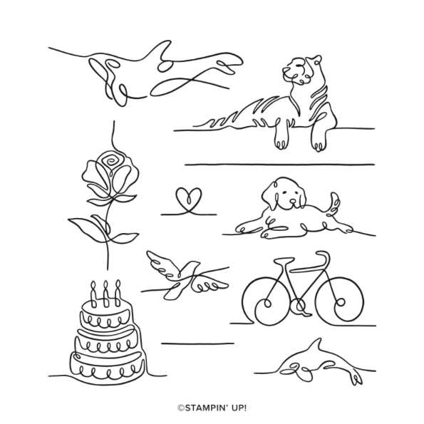 Along These Lines | Retired Photopolymer Stamp Set | Stampin' Up!