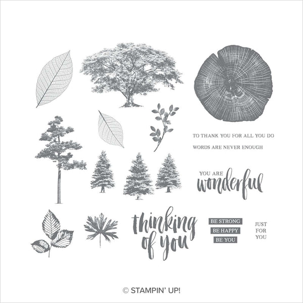 Rooted in Nature | Retired Clear Mount Stamp Set | Stampin' Up!