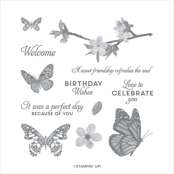 Butterfly Wishes | Retired Cling Mount Stamp Set | Stampin' Up!
