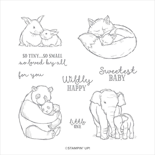 Wildly Happy | Retired Cling Mount Stamp Set | Stampin' Up!