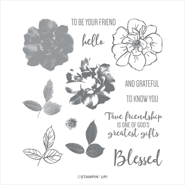 To a Wild Rose | Retired Photopolymer Stamp Set | Stampin' Up!