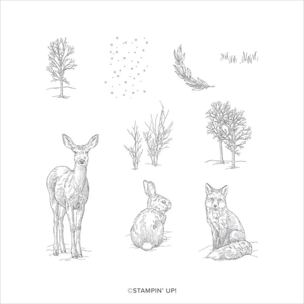 Nature's Beauty | Retired Cling Mount Stamp Set | Stampin' Up!