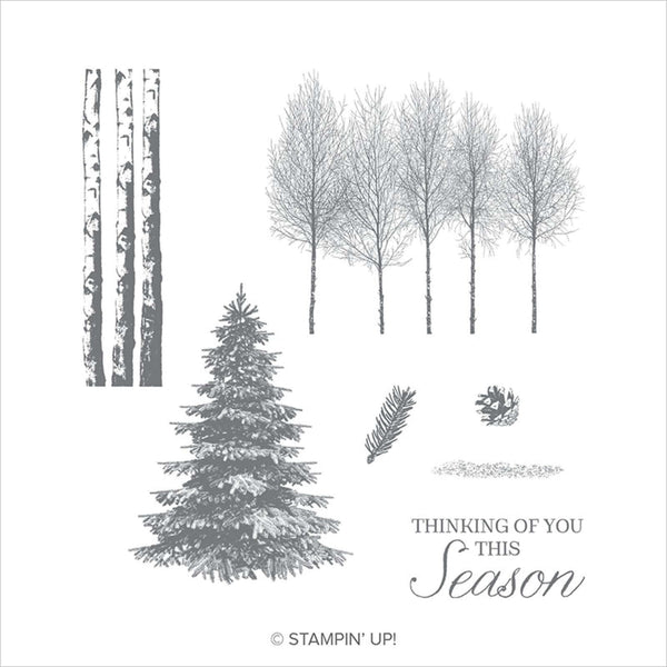 Winter Woods | Retired Cling Mount Stamp Set | Stampin' Up!