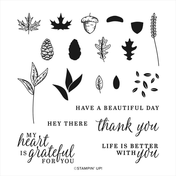 Beautiful Autumn | Retired Photopolymer Stamp Set | Stampin' Up!