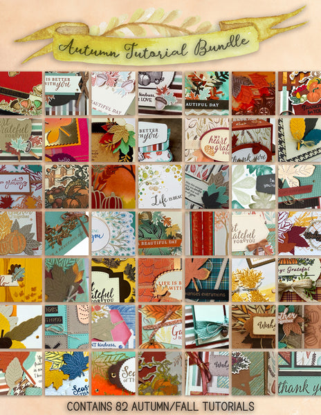 MEGA Tutorial BUNDLE