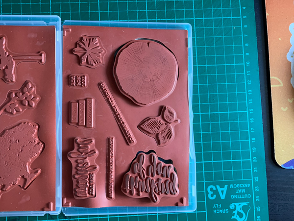 Rooted in Nature | Retired Clear Mount Stamp Set | Stampin' Up!