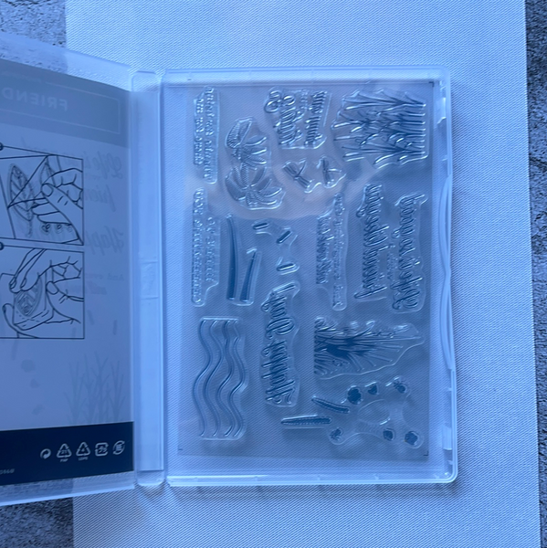 Friend Like You | Retired Photopolymer Stamp Set | Stampin' Up!