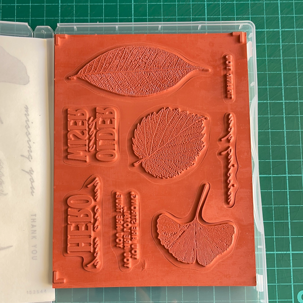 Loyal Leaves | Retired Cling Mount Stamp Set | Stampin' Up!