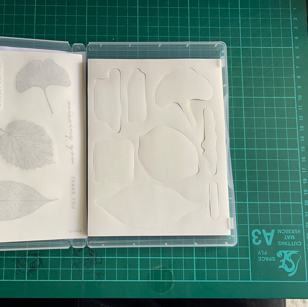 Loyal Leaves | Retired Cling Mount Stamp Set | Stampin' Up!