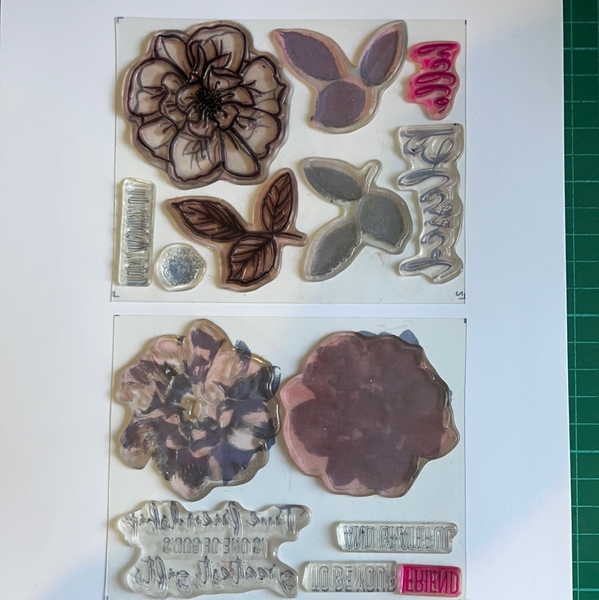 To a Wild Rose | Retired Photopolymer Stamp Set | Stampin' Up!