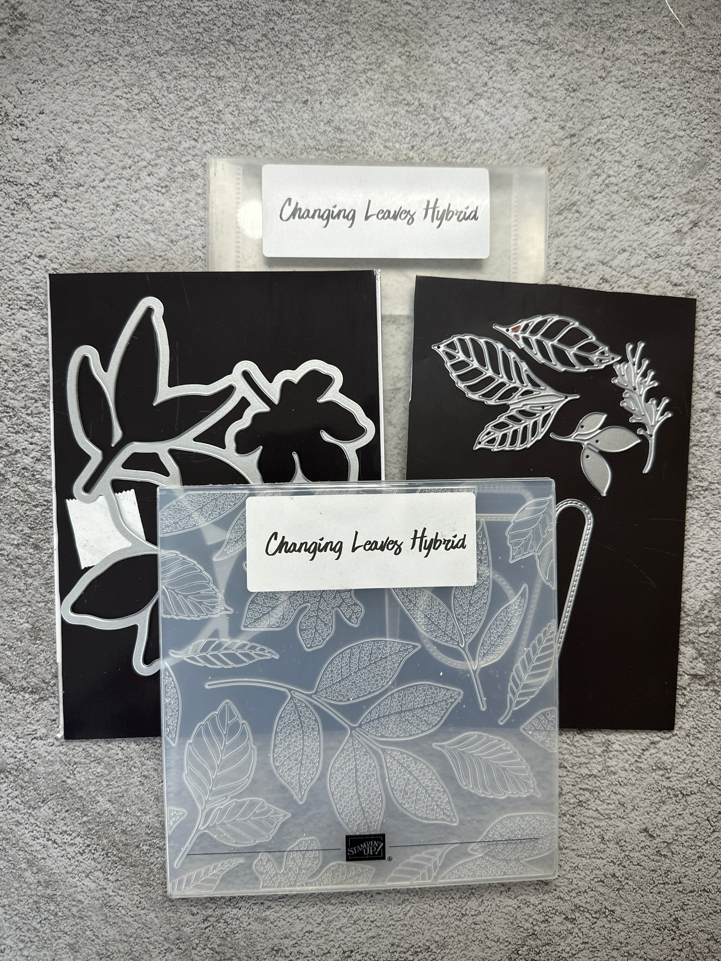Changing Leaves Hybrid Embossing Folder / Dies | Retired Die Collection and Folder | Stampin' Up!