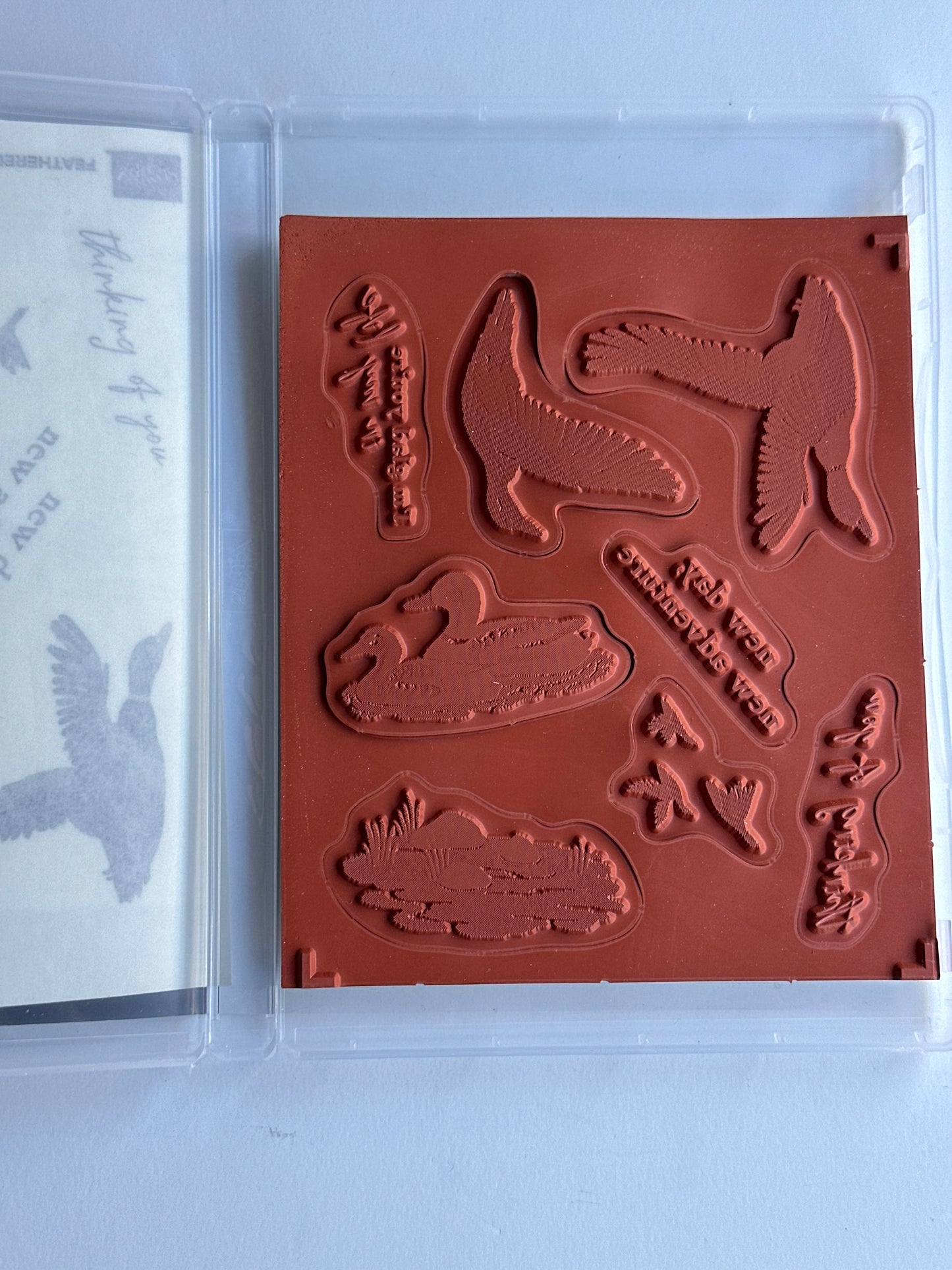 Feathered Flight | Retired Cling Mount Stamp Set | Stampin' Up!
