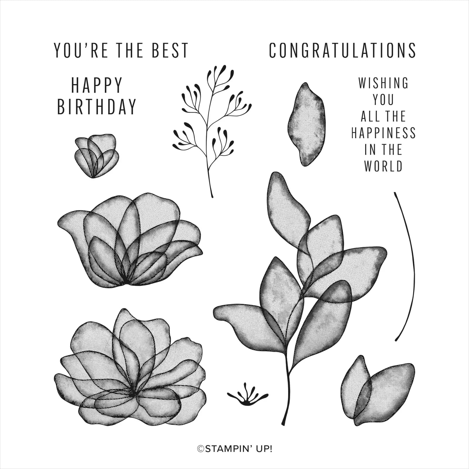 Translucent Florals Bundle | Retired Cling Mount Stamp Set and Dies | Stampin' Up!