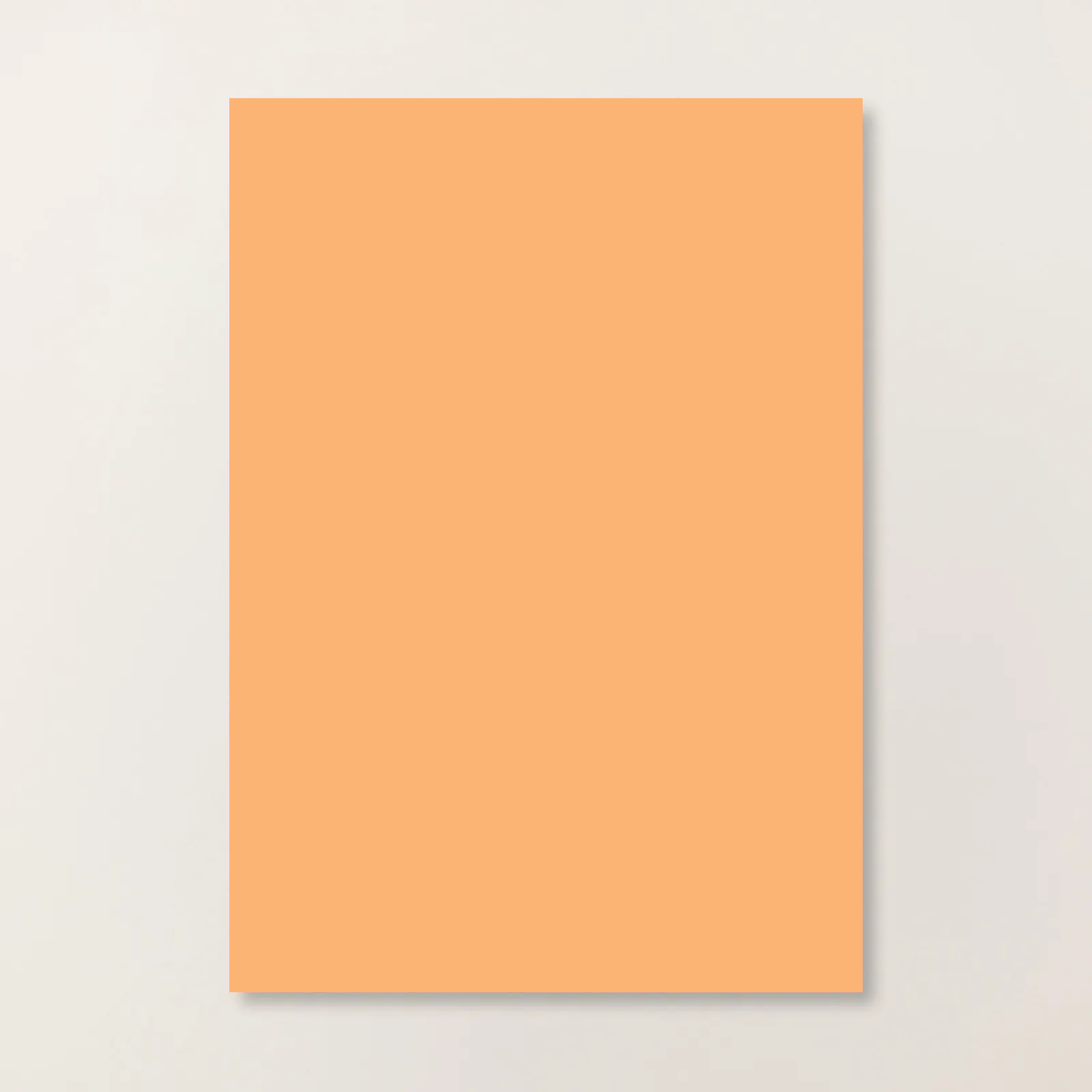 A4 Cardstock | Peach Pie | Retired | 12 sheets | Stampin' Up!