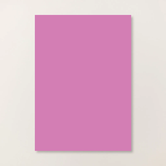 A4 Cardstock | Petunia Pop | Retired | 11 sheets | Stampin' Up!