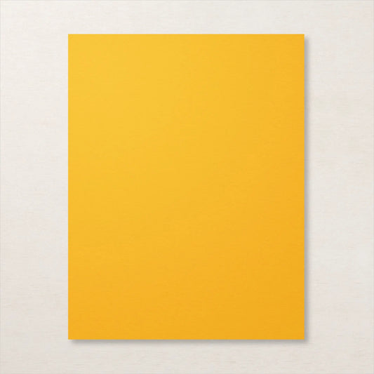 A4 Cardstock | Mango Melody | Retired | Brand New, Unopened | Stampin' Up!