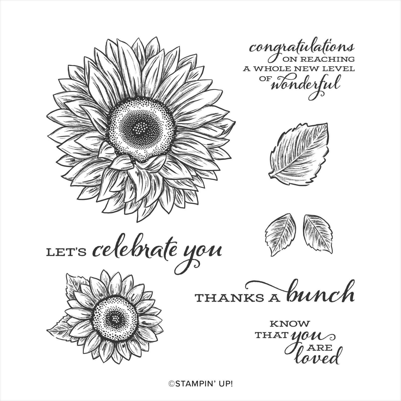 Celebrate Sunflowers | Retired Cling Mount Stamp Set | Stampin' Up!