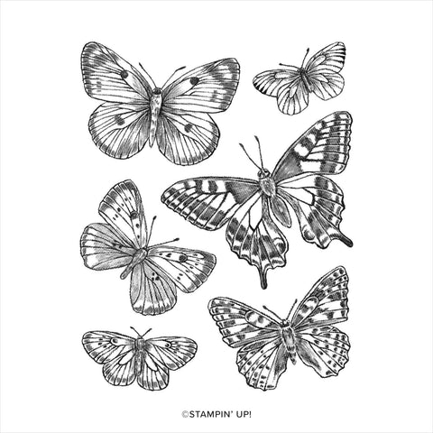 Butterfly Brilliance | Retired Cling Mount Stamp Set | Stampin' Up!