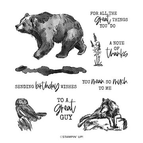 Wildlife Wonder | Retired Cling Mount Stamp Set | Stampin' Up!