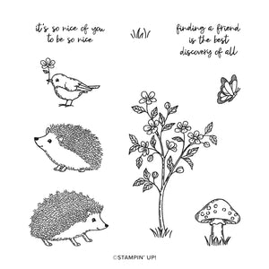 Happy Hedgehogs | BRAND NEW, NEVER USED! | Retired Photopolymer Stamp Set | Stampin' Up!