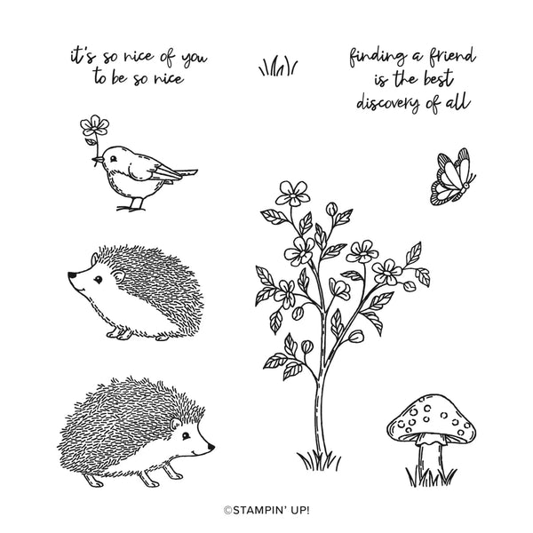 Happy Hedgehogs | BRAND NEW, NEVER USED! | Retired Photopolymer Stamp Set | Stampin' Up!