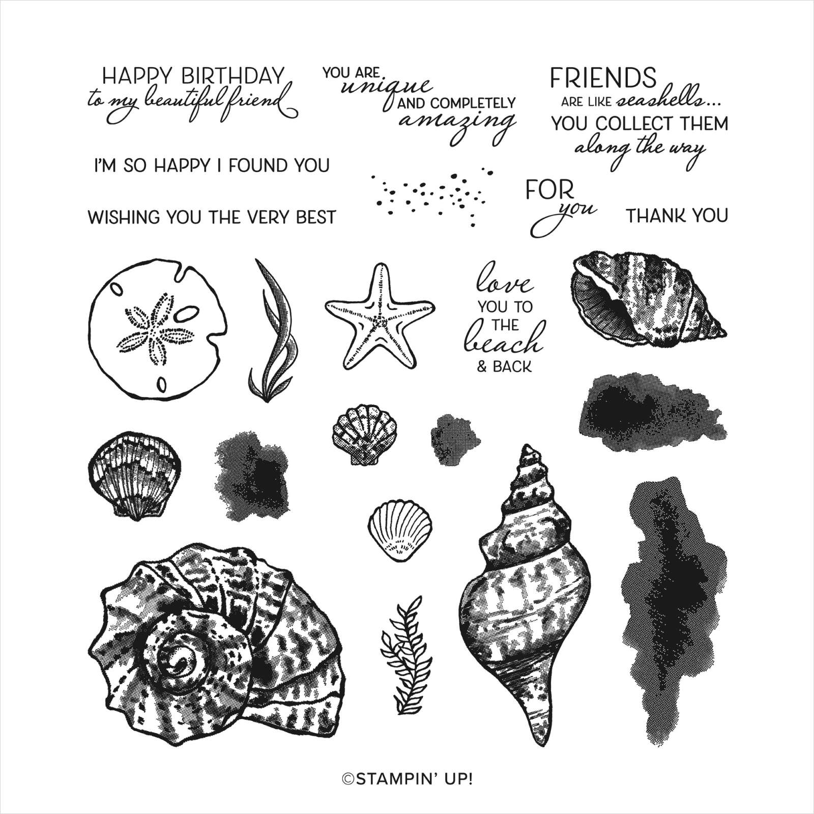 Friends are Like Seashells | Retired Photopolymer Stamp Set | Stampin' Up!