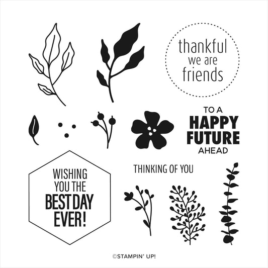 Framed Occasions | Retired Photopolymer Stamp Set | Stampin' Up!