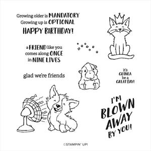 Glad We're Friends | Retired Cling Mount Stamp Set | Stampin' Up!