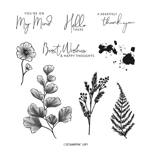 Nature's Prints | Retired Cling Mount Stamp Set | Stampin' Up!