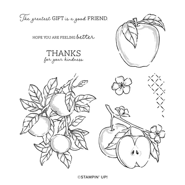 Apple Harvest | Retired Cling Mount Stamp Set | Stampin' Up!