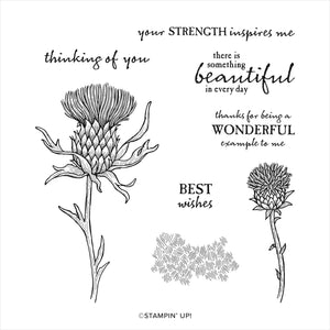 Beautiful Thistle | Retired Cling Mount Stamp Set | Stampin' Up! | BRAND NEW