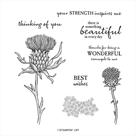 Beautiful Thistle | Retired Cling Mount Stamp Set | Stampin' Up!