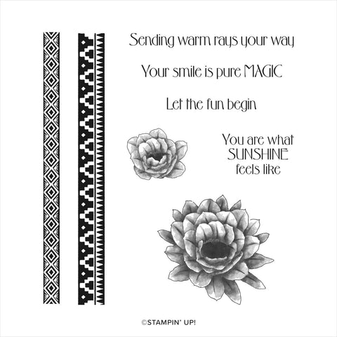 Desert Details | Retired Cling Mount Stamp Set | Stampin' Up!