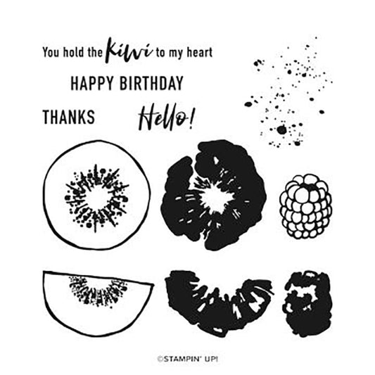 Hello Kiwi | Retired Photopolymer Stamp Set | Stampin' Up!
