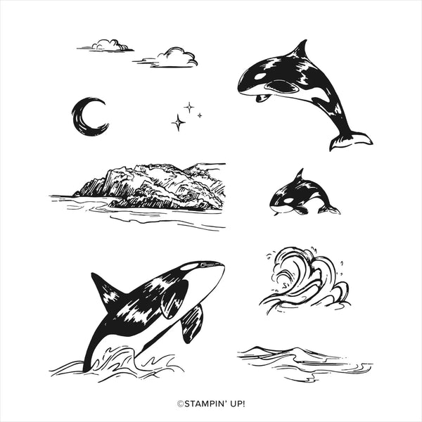 Whale Watching | Retired Cling Mount Stamp Set | Stampin' Up!