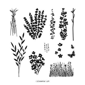 Painted Lavender Bundle| Retired Photopolymer Stamp Set and Dies | Stampin' Up!