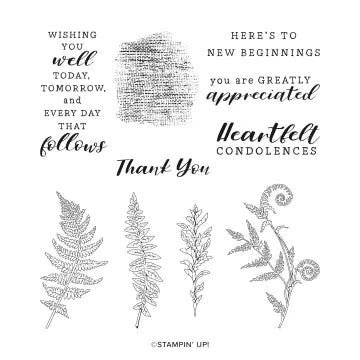 Wild Ferns Bundle | Retired Cling Mount Stamp Set and Dies | Stampin' Up!