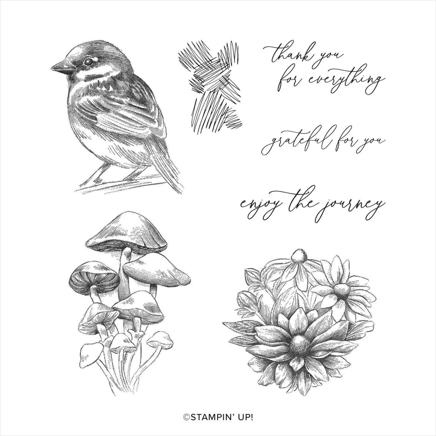 Inspirational Sketches | Retired Cling Mount Stamp Set | Stampin' Up!