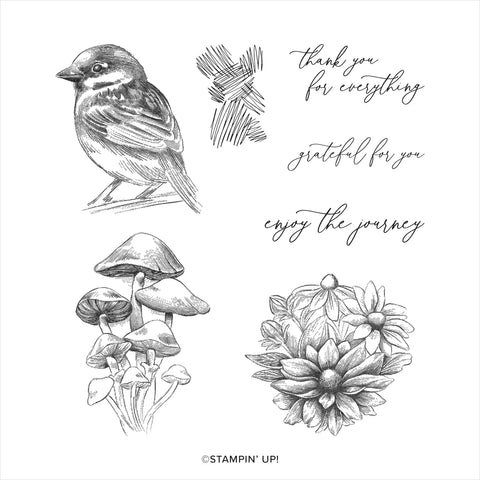 Inspirational Sketches | Retired Cling Mount Stamp Set | Stampin' Up!