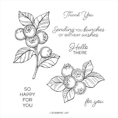 Blueberry Bunches | Retired Cling Mount Stamp Set | Stampin' Up!