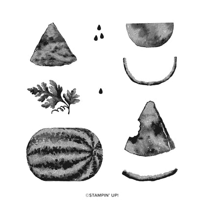 Watercolor Melon | Retired Photopolymer Stamp Set | Stampin' Up!