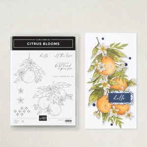 Citrus Blooms Bundle | Retired Cling Mount Stamp Set and Dies | Stampin' Up!