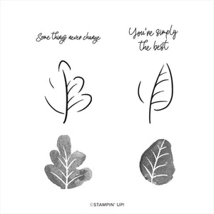 Caring Leaves | BRAND NEW, NEVER USED! | Retired Photopolymer Stamp Set | Stampin' Up!