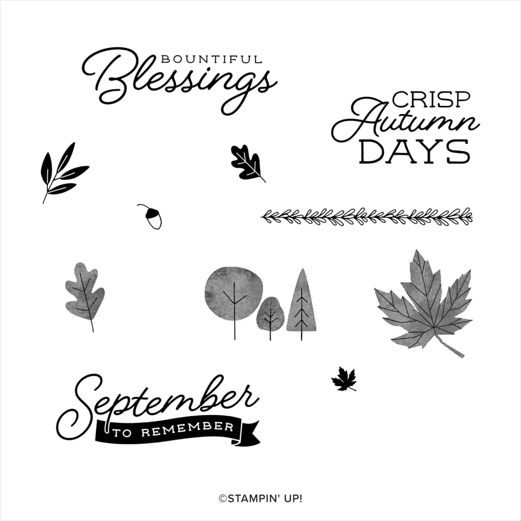 Autumn To Remember | BRAND NEW, NEVER USED! | Retired Photopolymer Stamp Set | Stampin' Up!