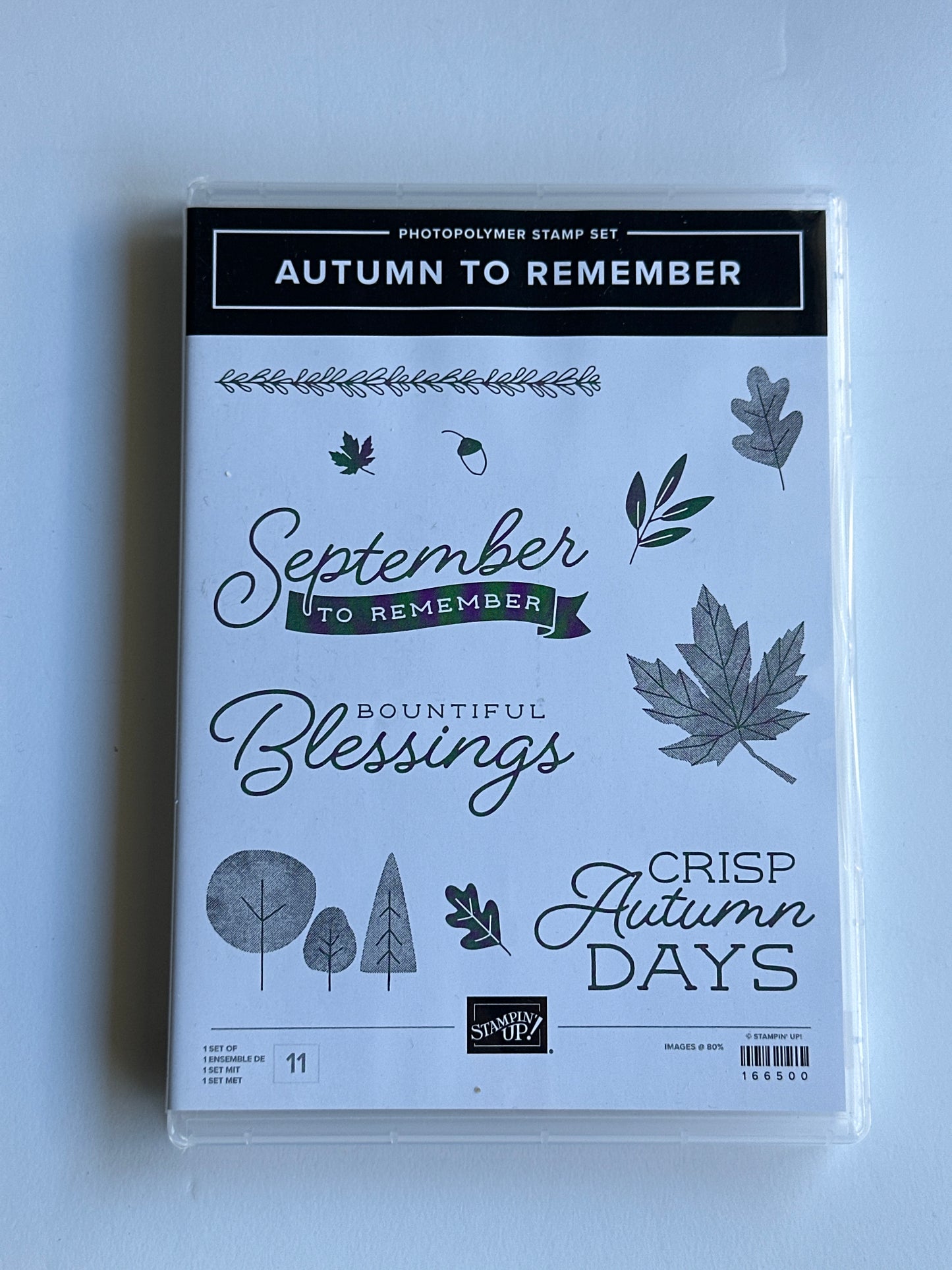 Autumn To Remember | BRAND NEW, NEVER USED! | Retired Photopolymer Stamp Set | Stampin' Up!