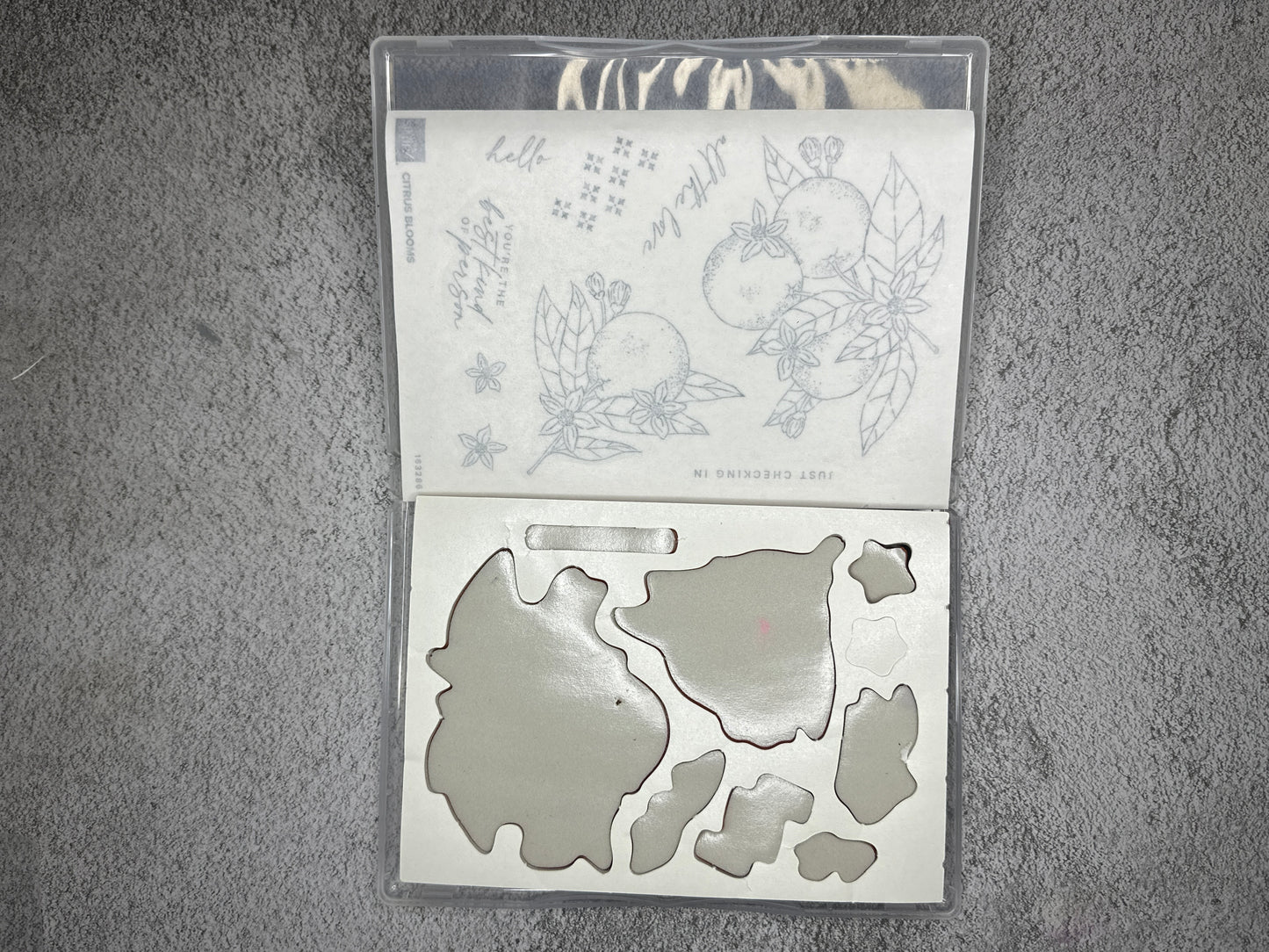 Citrus Blooms Bundle | Retired Cling Mount Stamp Set and Dies | Stampin' Up!