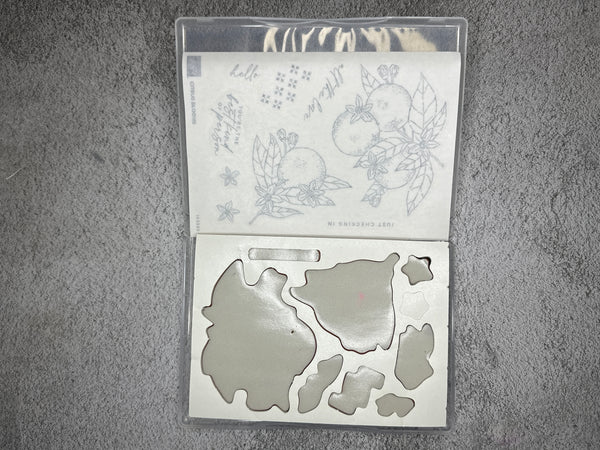 Citrus Blooms Bundle | Retired Cling Mount Stamp Set and Dies | Stampin' Up!