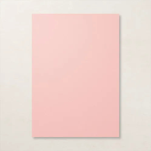 A4 Cardstock | Blushing Bride | Retired | Brand New, Unopened | Stampin' Up!