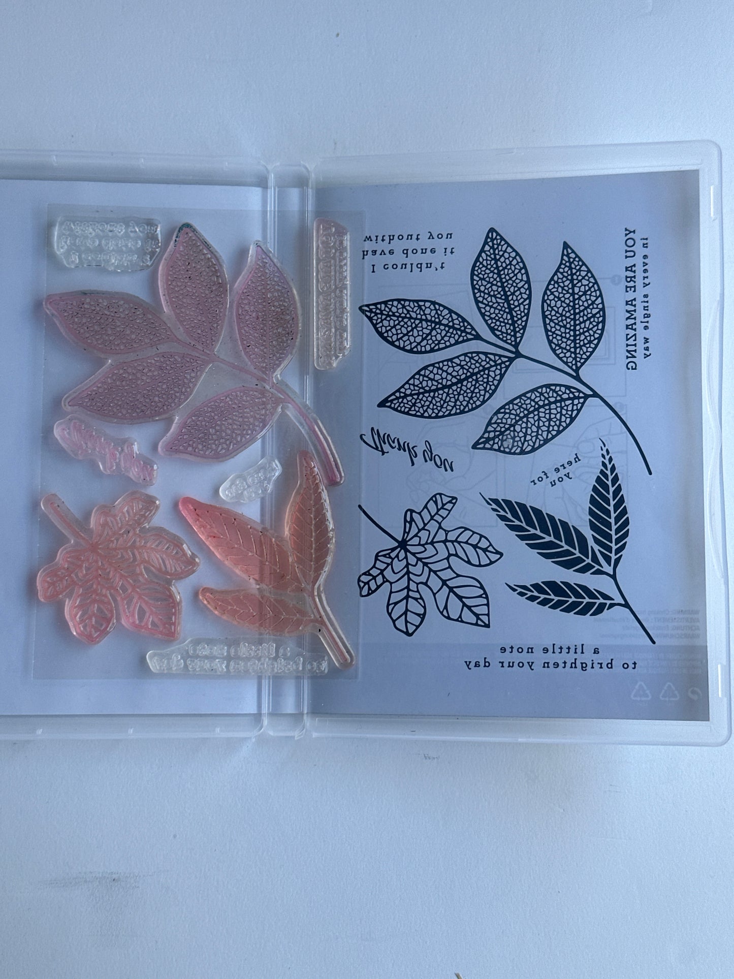Changing Leaves | Retired Photopolymer Stamp Set | Stampin' Up!